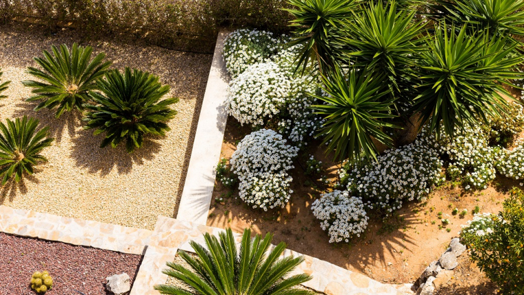 Unique Front Yard Landscaping Ideas